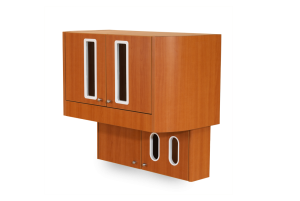 D2 Wall Mount Storage Unit dental cabinet features